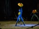 Cirque du Soleil