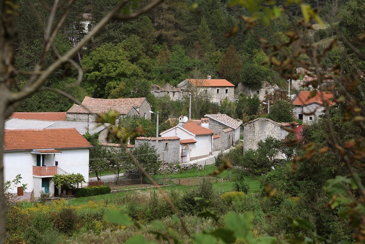 Arhiva