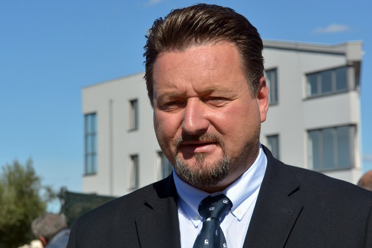 (N. LAZAREVIĆ)