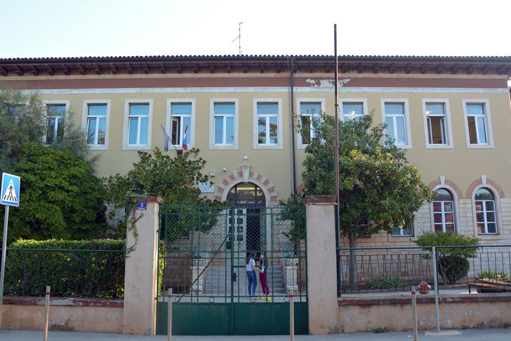 (N. LAZAREVIĆ)