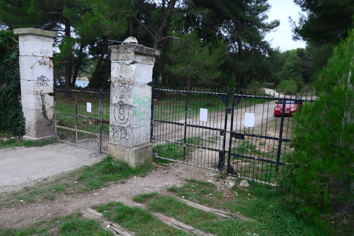 D. ŠTIFANIĆ
