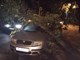 Stablo je palo na vozilo kod Mornaričke bolnice na Verudi