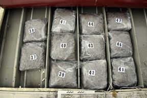 Ilustracija(Marihuana)