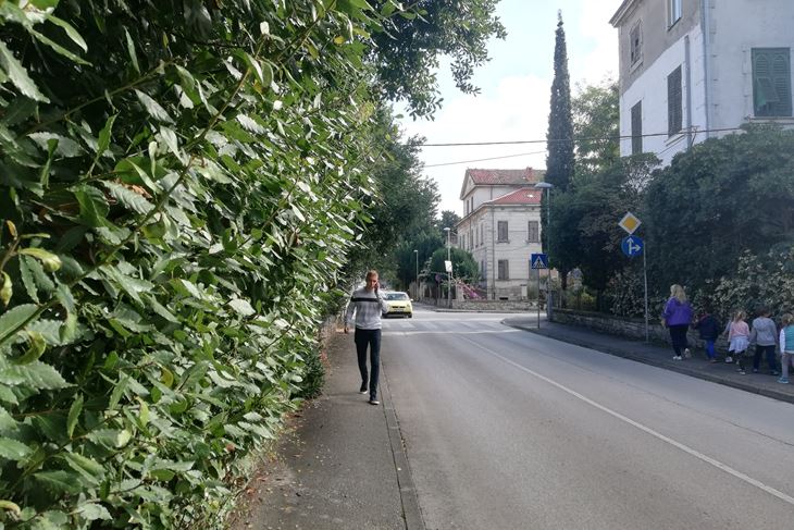 Ulica Velog Jože