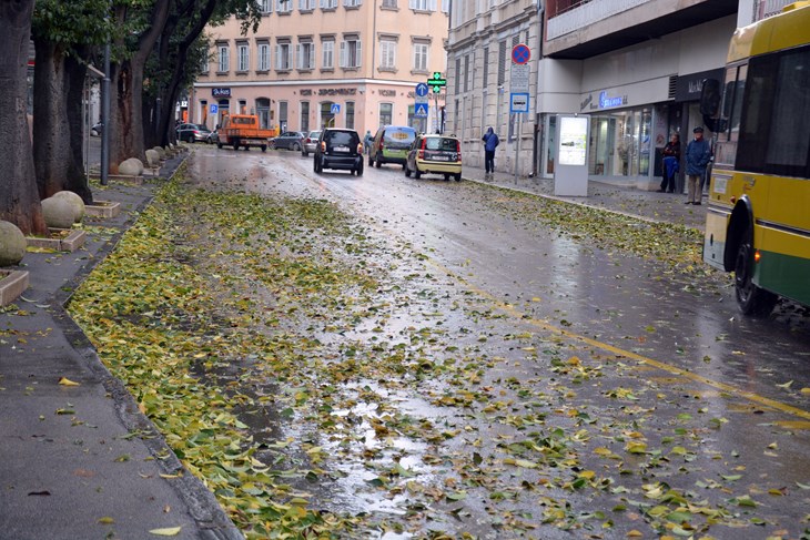 Ilustracija (N. LAZAREVIĆ)