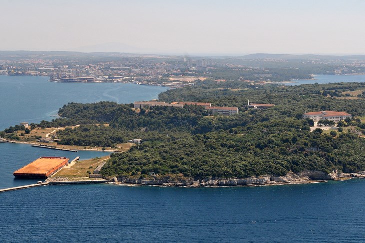 Muzil (N. LAZAREVIĆ)