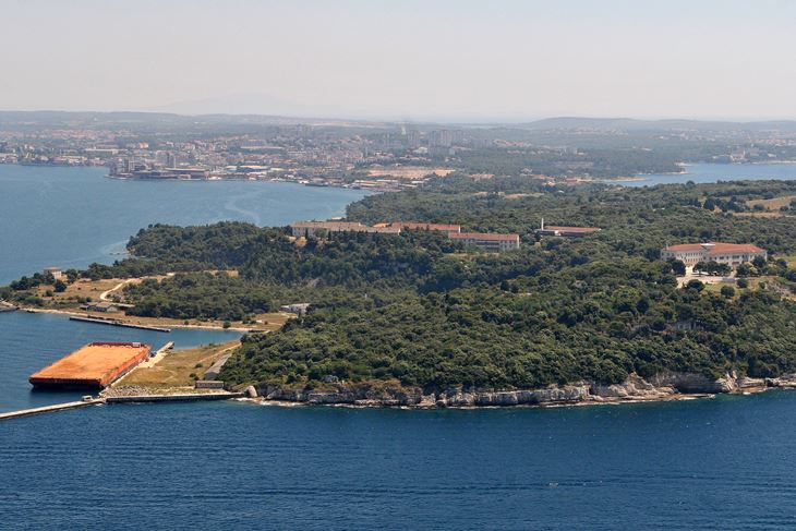 Muzil (N. LAZAREVIĆ)