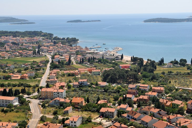 (N. LAZAREVIĆ)