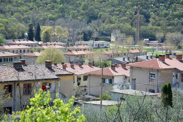 (N. LAZAREVIĆ)