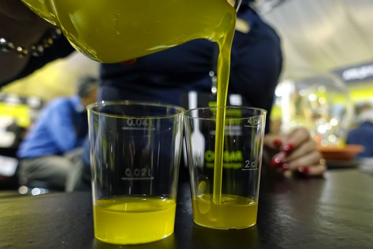 Plasman ulja bio bi jedan od fokusa proizvođačke organizacije istarskih maslinara