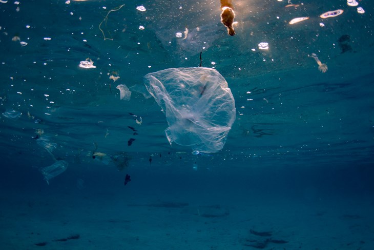 Foto:. Greenpeace