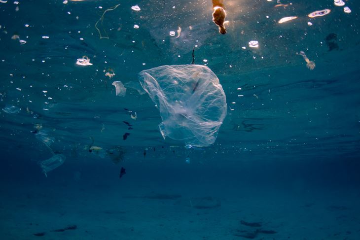 Foto:. Greenpeace