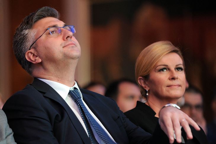 (D. KOVAČEVIĆ)