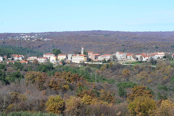 (D. ŠTIFANIĆ)