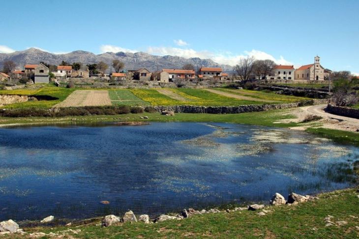 Općina Jasenice