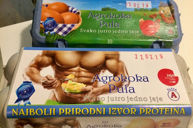 (B. PETROVIĆ)