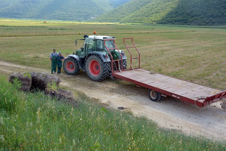 N. LAZAREVIĆ