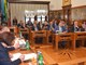 (N. LAZAREVIĆ)