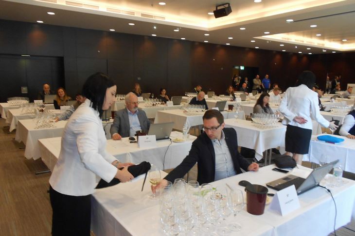  Ocjenjivači na Vinistri više neće sjediti ovako jedni iza drugih već u krugu (D. ŠIŠOVIĆ)