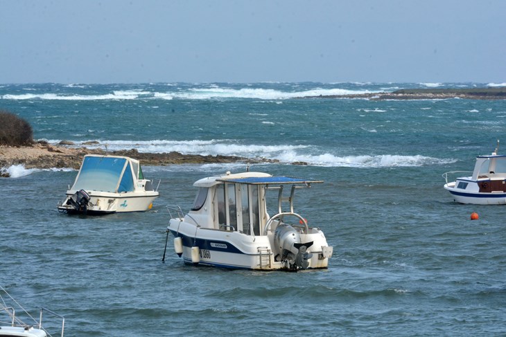 Ilustracija (D. MEMEDOVIĆ)