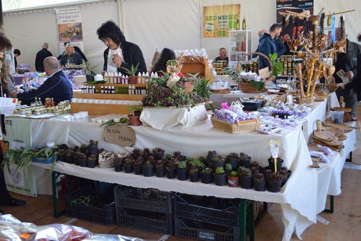 Festival samoniklog bilja održava se u travnju (Arhiva)