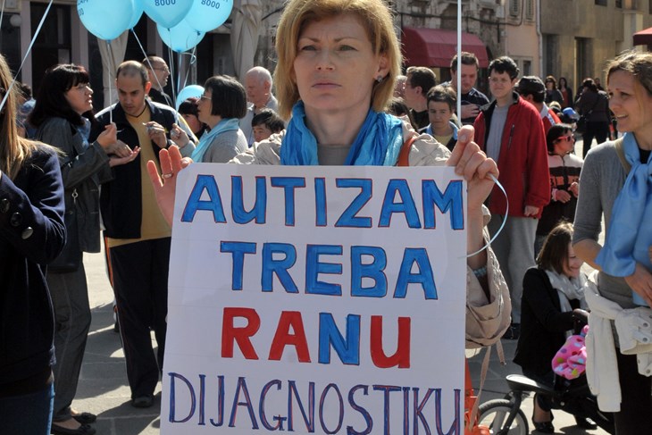 (N. LAZAREVIĆ)