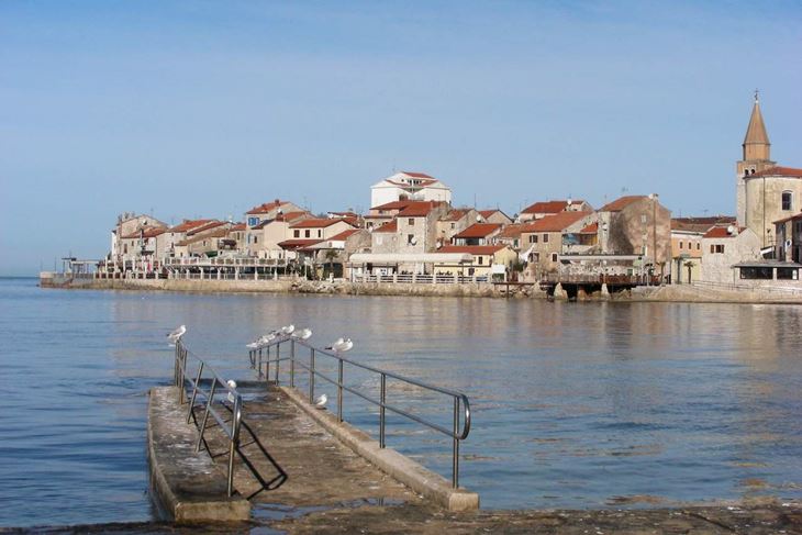Arhiva