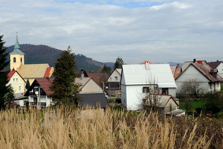 Risnjak (M. GRACIN)