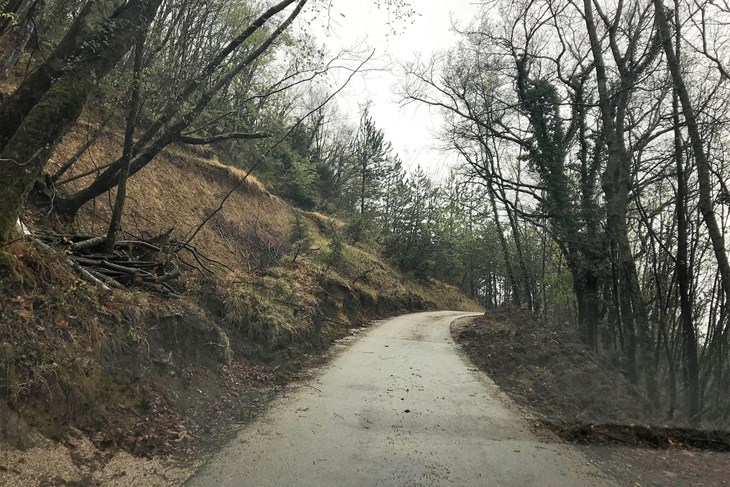Cesta Kašćerga-Bankovci (R. KORACA)