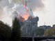 Plamen guta katedralu Notre Dame