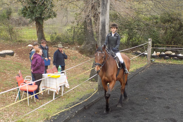 Ocjenjivanje se provodilo pod budnim očima licencirane sutkinje dresure iz Hrvatskog konjičkog saveza Sonje Olujić i, FEI (Federation Equestrian International) trenerice Suzane Haber koje se pratile ponašanje konja i vještinu mlade jahačice (N. O. R.)