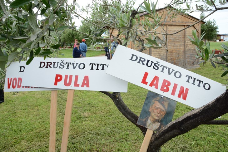 (D. MEMEDOVIĆ)