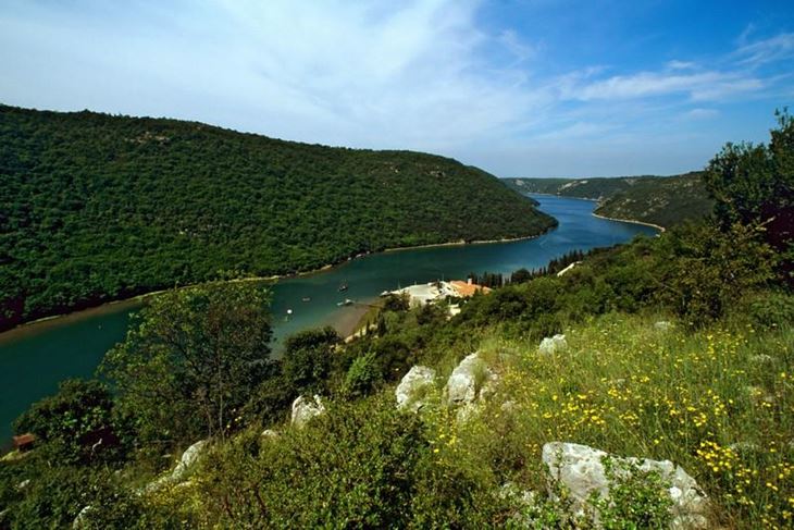 Zaštita i valorizacija prirodne baštine u sklopu projekta KLIM - Limski kanal