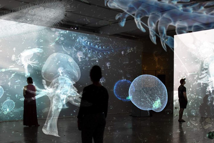 Noise aquarium, jedan od programa festivala aMORE