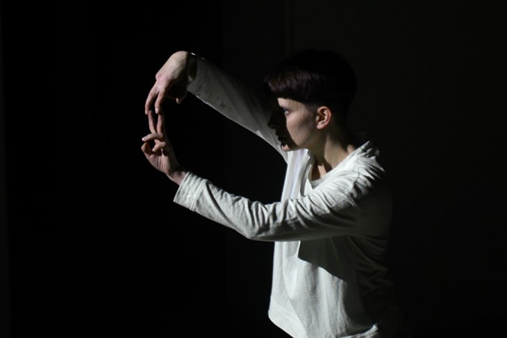 Ivana Vojnić Vratarić (D. ŠTIFANIĆ)