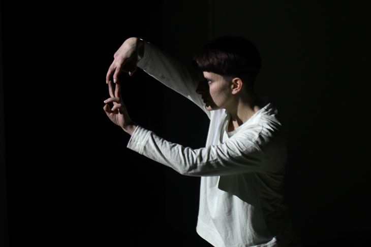 Ivana Vojnić Vratarić (D. ŠTIFANIĆ)