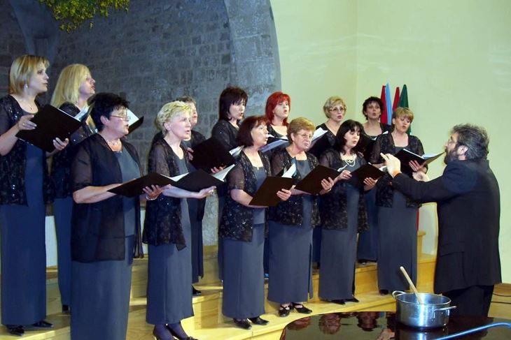 Zbor Mendula (Arhiva)