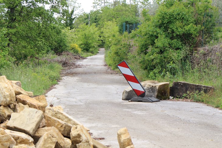 (L. JELAVIĆ)