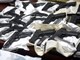 policija, PNUSKOK, oruzxje, droga, akcija Batana, snimio Mateo SARDELIN
