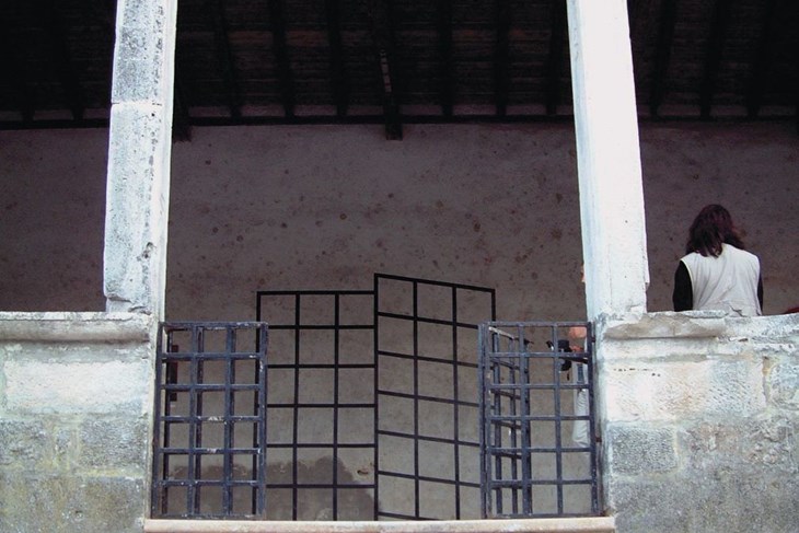 Đorđe Jandrić, "Prid vrati", Savičenta