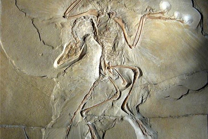 (EPA)
