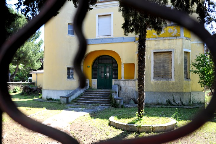 (M. MIJOŠEK)