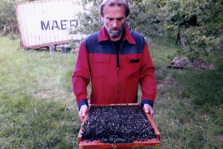 Izraz lica govori sve: Stjepan Klicić s podnicom košnice punom mrtvih pčela (Goran BARANAŠIĆ)
