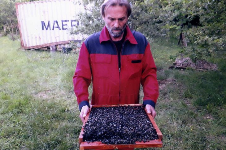 Izraz lica govori sve: Stjepan Klicić s podnicom košnice punom mrtvih pčela (Goran BARANAŠIĆ)