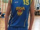 NIKO ANDRILOVIĆ