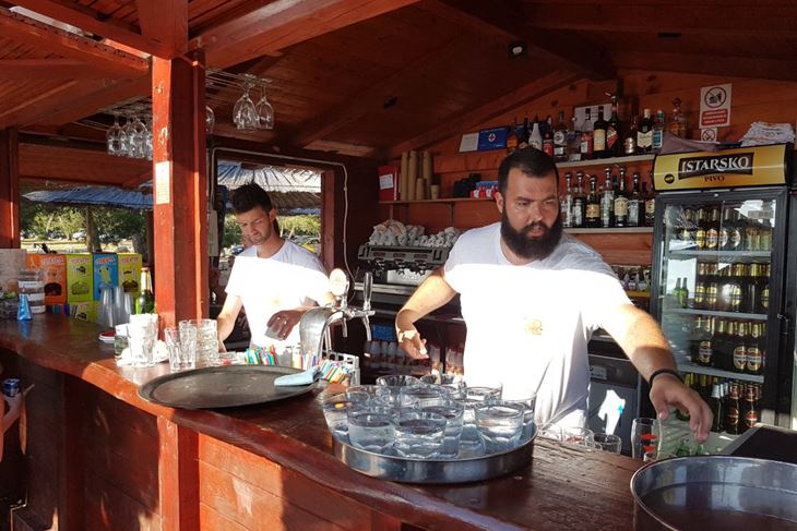 Sezonci iz Srbije na Hidrobazi (M. VERMEZOVIĆ IVANOVIĆ)