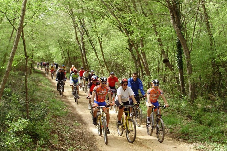 Prirodna baština uključena u turističku ponudu - šuma Kontija (Arhiva)