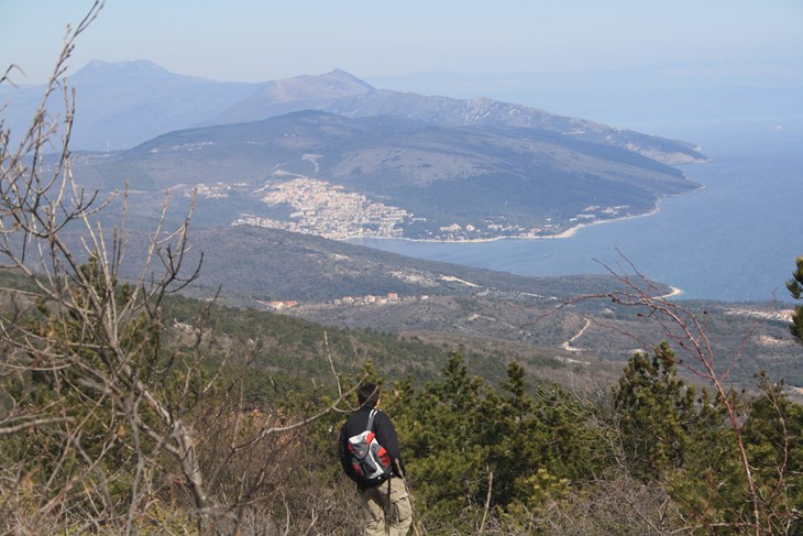 (N. LAZAREVIĆ)