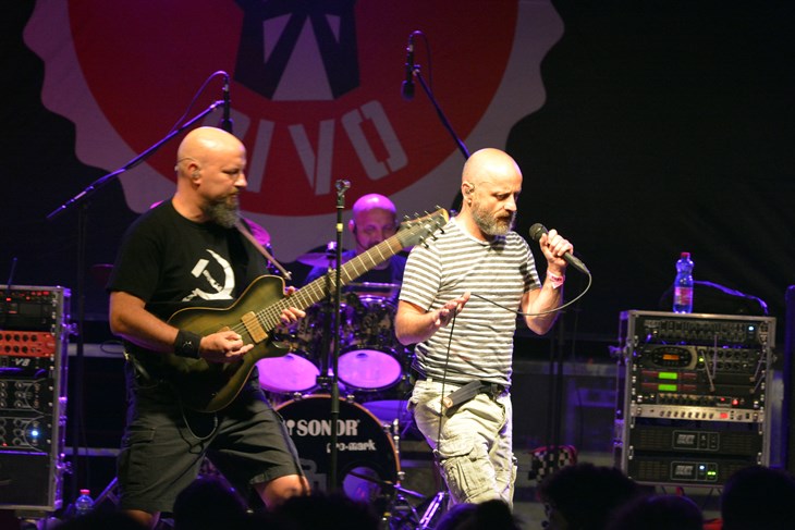 (N. LAZAREVIĆ)