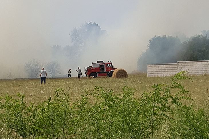 Foto: Srećko PERŠIĆ